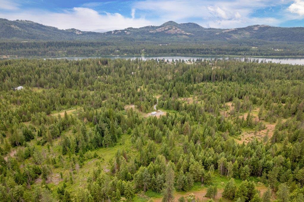 1456-1460 Misty Ridge Lane Newport, WA 99156 - Photo 2 of 48