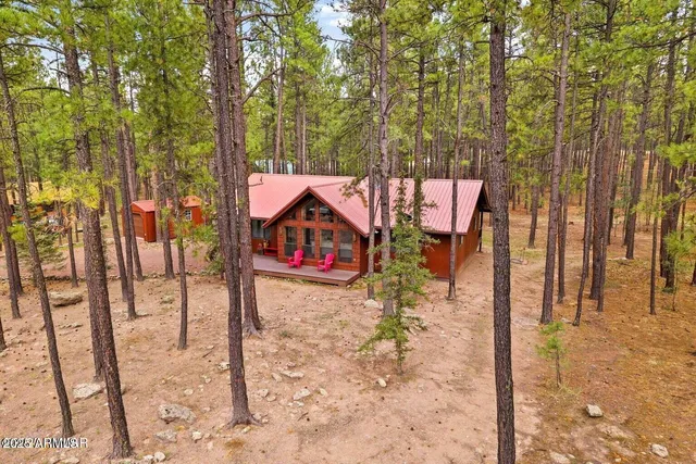 a view of a flower in a garden