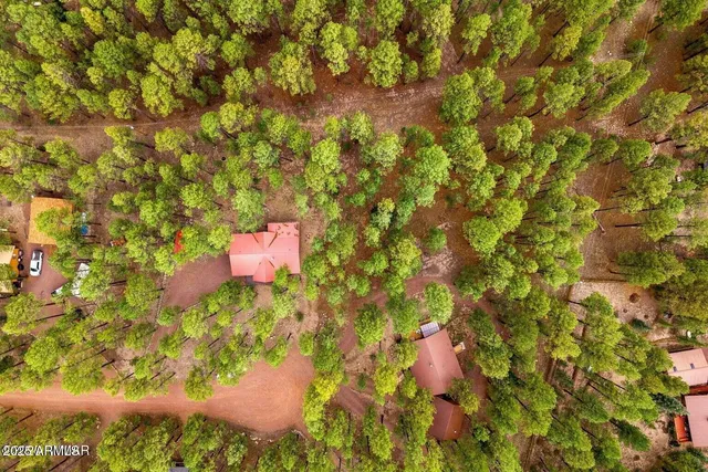 a view of a mountain range with lush green forest