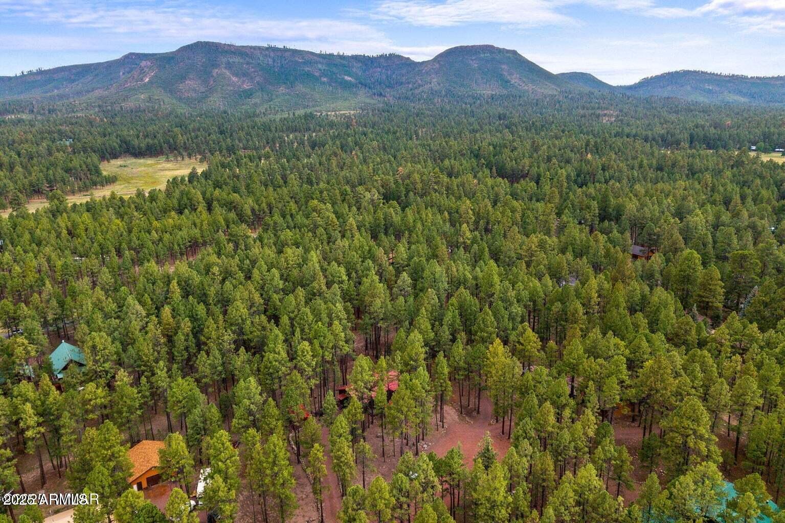 4 County Road 2089 Alpine, AZ 85920 - Photo 46 of 48 a view of a mountain range with lush green forest