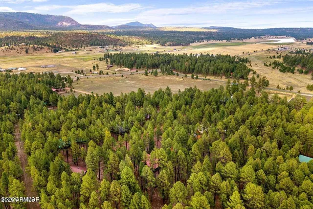 $449,900 | 4 County Road 2089, Alpine, AZ 85920