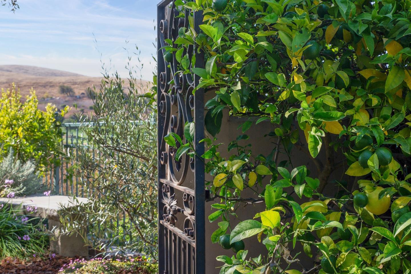 5182 Hawkstone Way San Jose, CA 95138 - Photo 30 of 35