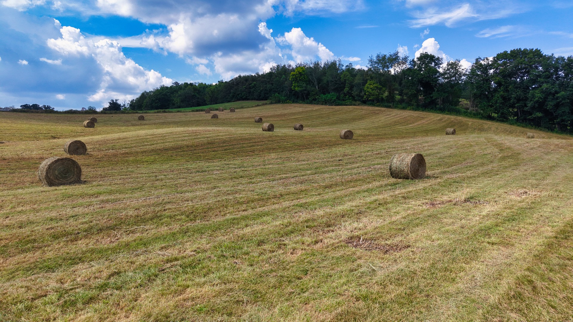 0 Mitchell Ridge Road Jonesborough, TN 37659 - Photo 14 of 82 Gallery Image 14