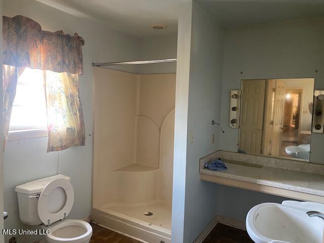 756 Dancey Cove Coldwater, MS 38618 - Photo 12 of 36 Master bath
