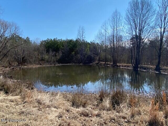 756 Dancey Cove Coldwater, MS 38618 - Photo 35 of 36 e597d23b-8a78-477e-a6a0-0e96a2402b5b