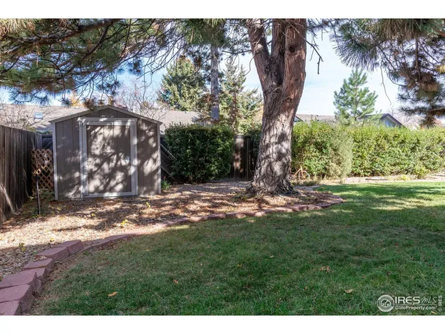 a view of a yard with plants and trees