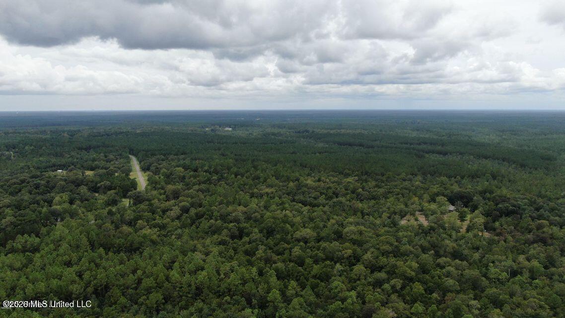 Busby Road Vancleave, MS 39565 - Photo 1 of 9 20220117025713137191000000-o