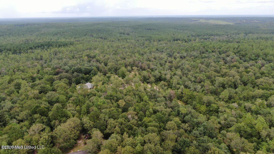 Busby Road Vancleave, MS 39565 - Photo 2 of 9 20220117025710724021000000-o