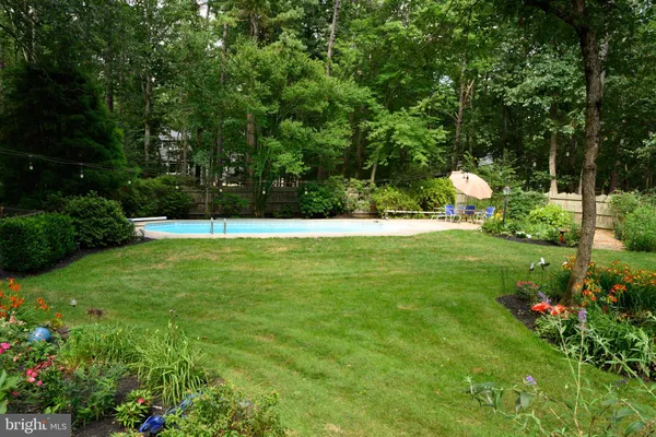 a view of a garden with a bench