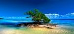 125 La Paloma Road Key Largo, FL 33037 - Photo 5 of 5 The Florida Keys...It's a Life Syle