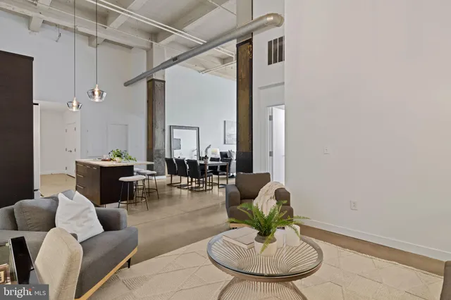 a living room with furniture or couch and a potted plant