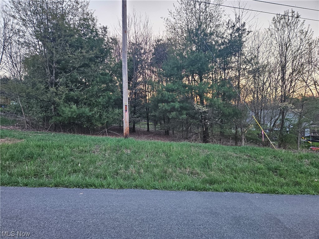 0 Magers Road Howard, OH 43028 - Photo 4 of 8 Gallery Image 4