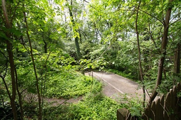 5 Ruping Drive Burlington, MA 01803 - Photo 26 of 30 Gallery Image 26