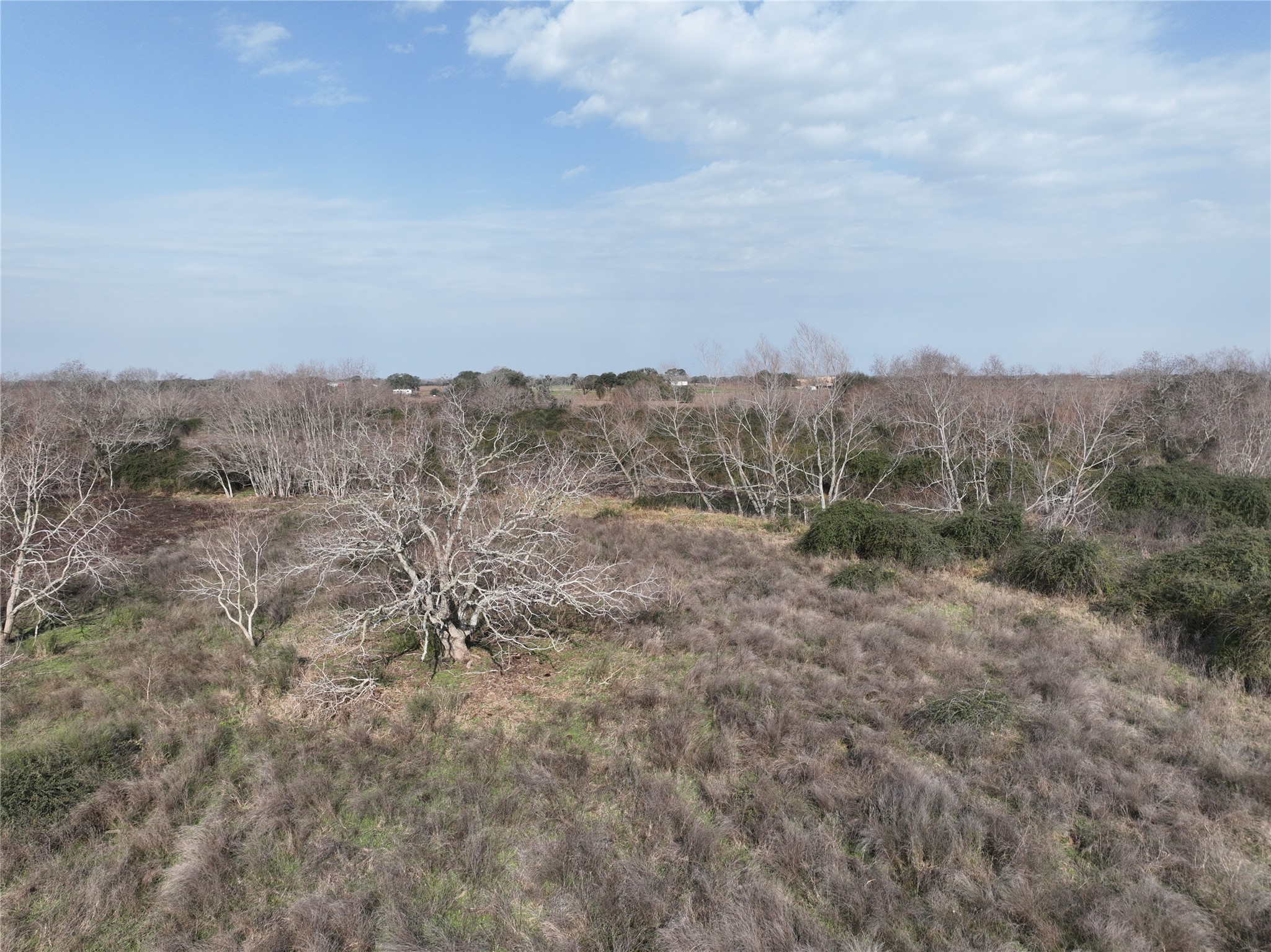 0 Schindler Road Alleyton, TX 78935 - Photo 35 of 39 Additional view of South woods