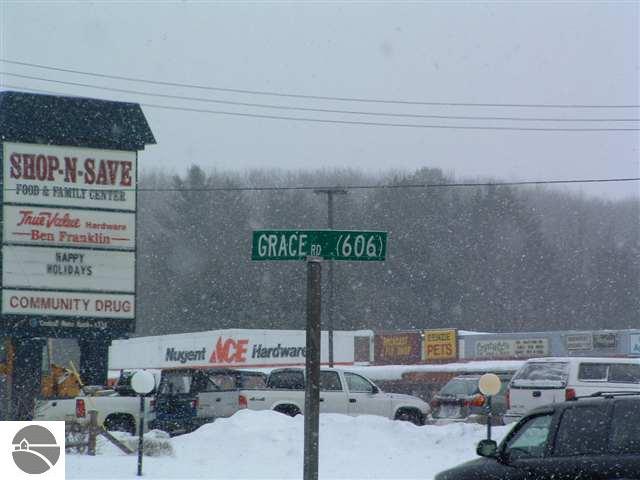5236 Grace Road Benzonia, MI 49616 - Photo 7 of 8 1711133-6.JPG