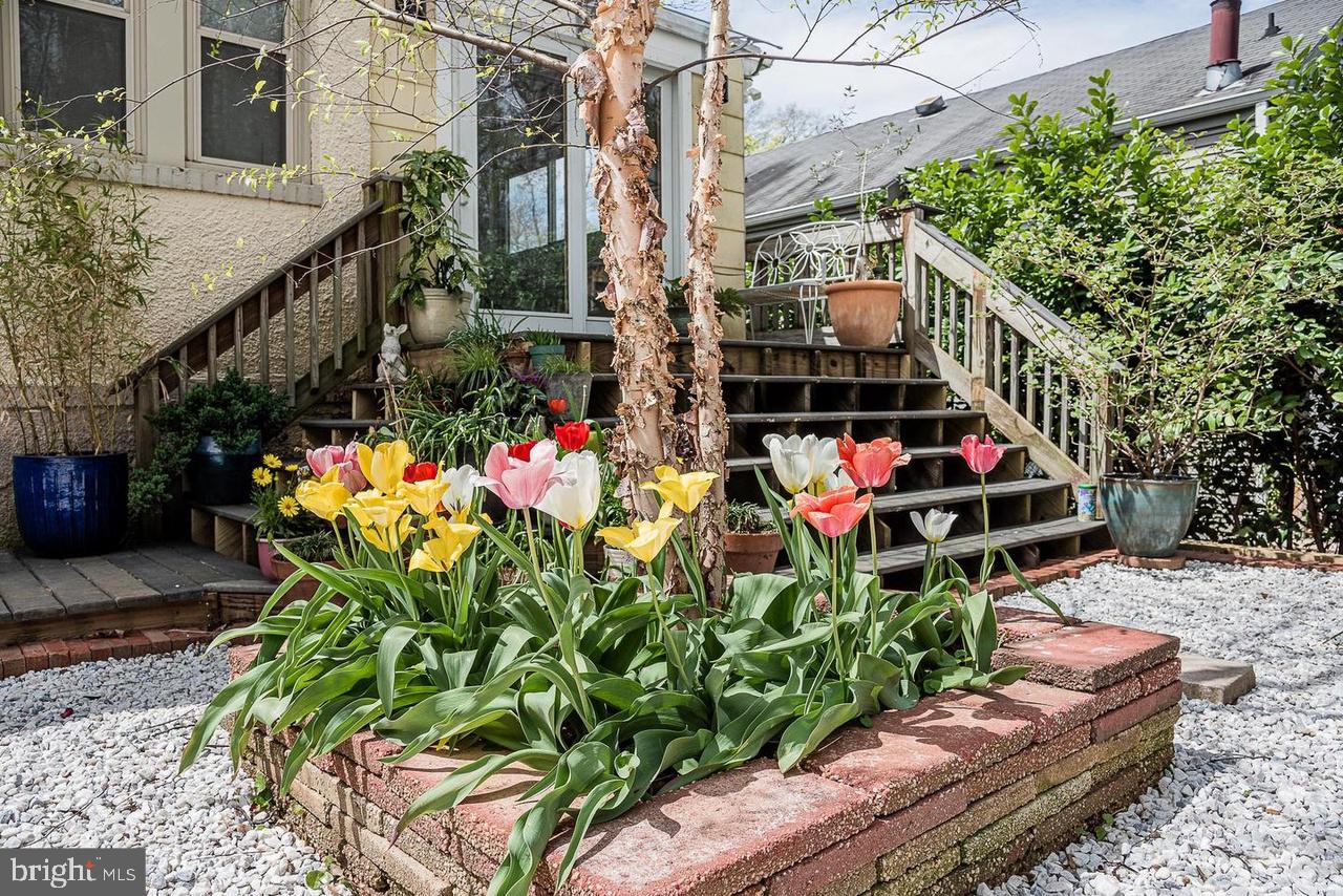 2244 Crest Road Baltimore, MD 21209 - Photo 32 of 54 Stunning landscaping