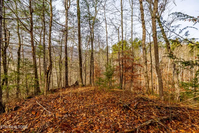 $349,999 | 5909 Old Walland Highway, Walland, TN 37886