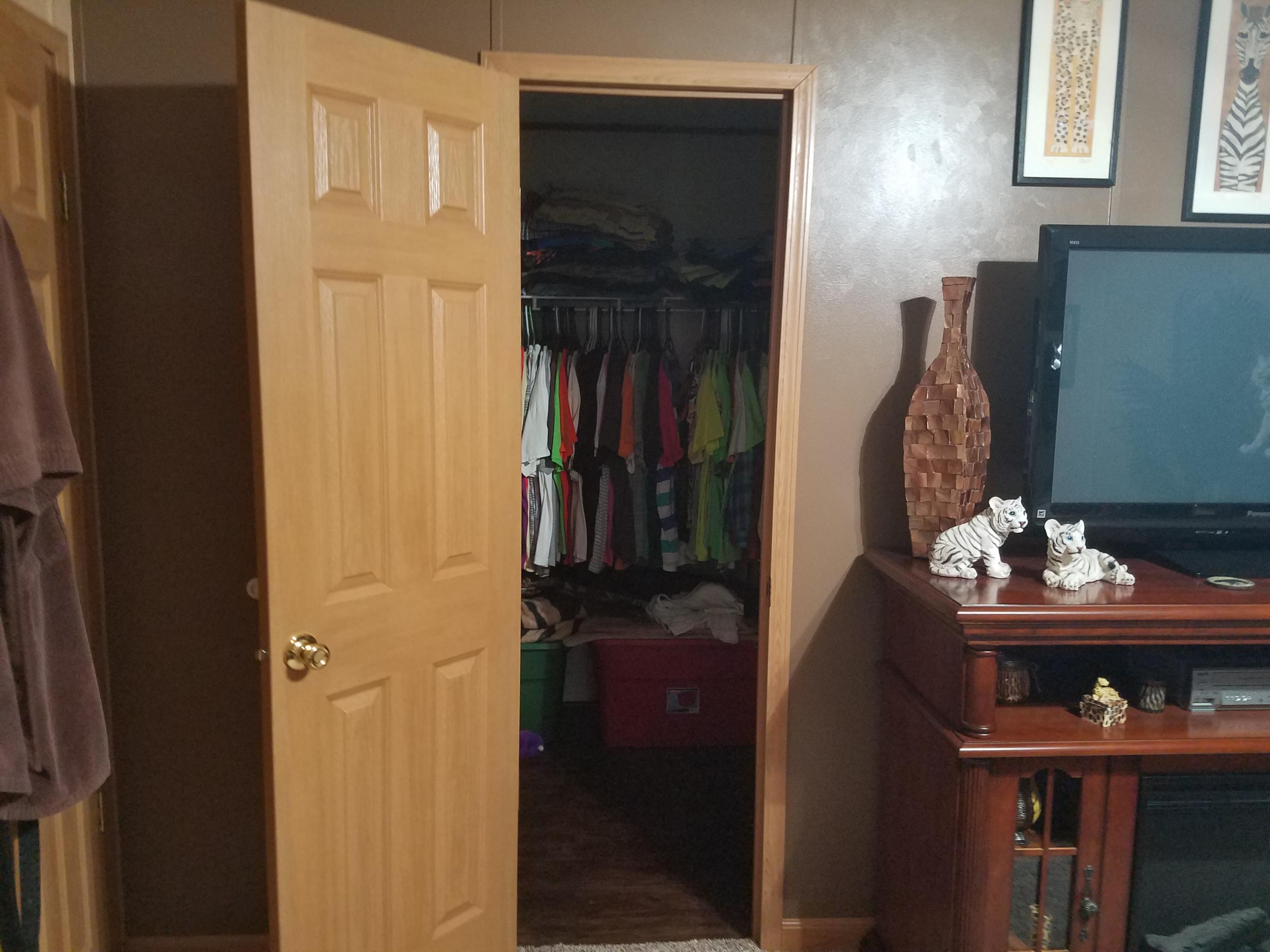 853 Bruner Road Strawberry Plains, TN 37871 - Photo 13 of 36 MBR closet