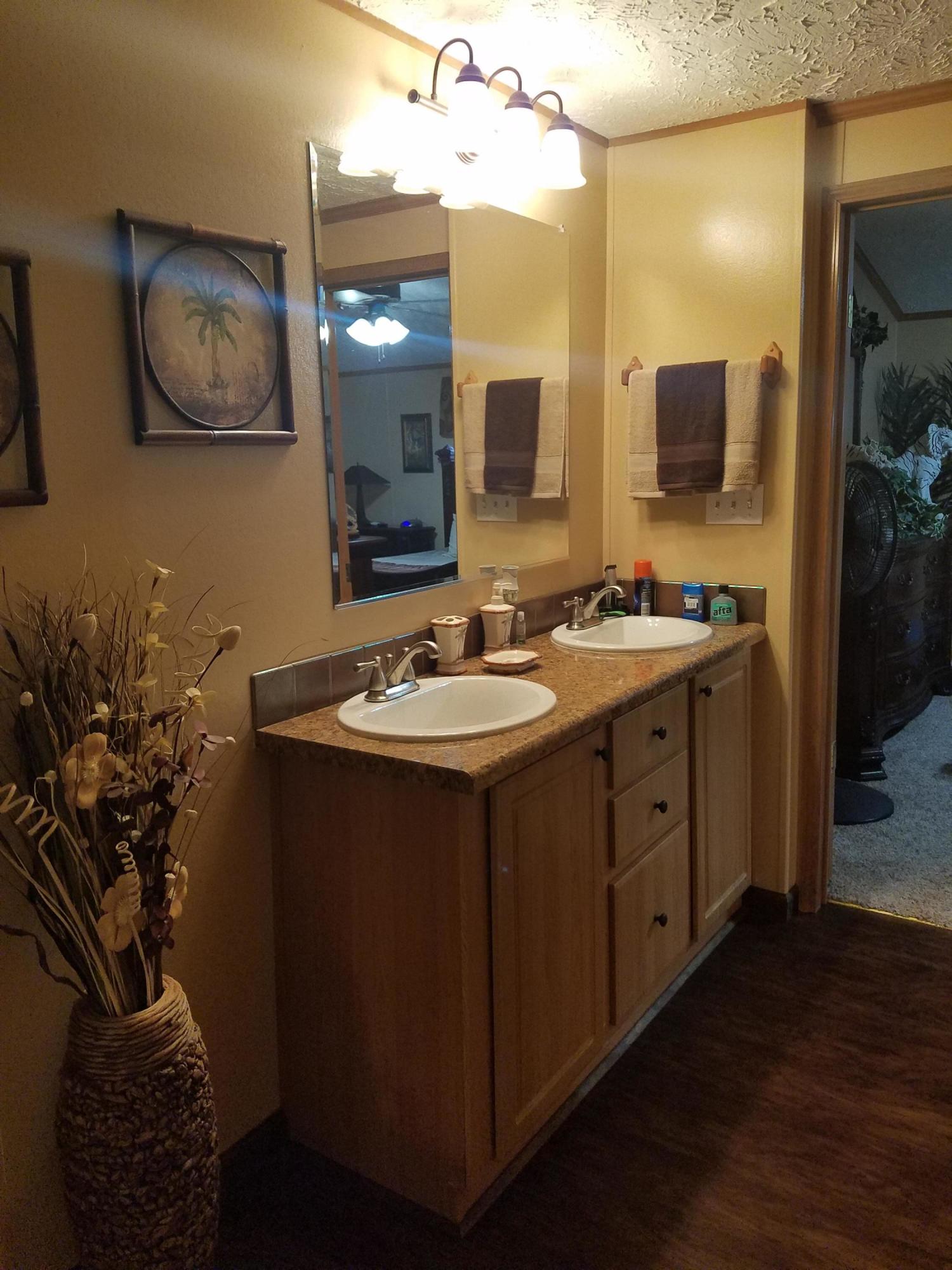 853 Bruner Road Strawberry Plains, TN 37871 - Photo 16 of 36 MBTH vanity