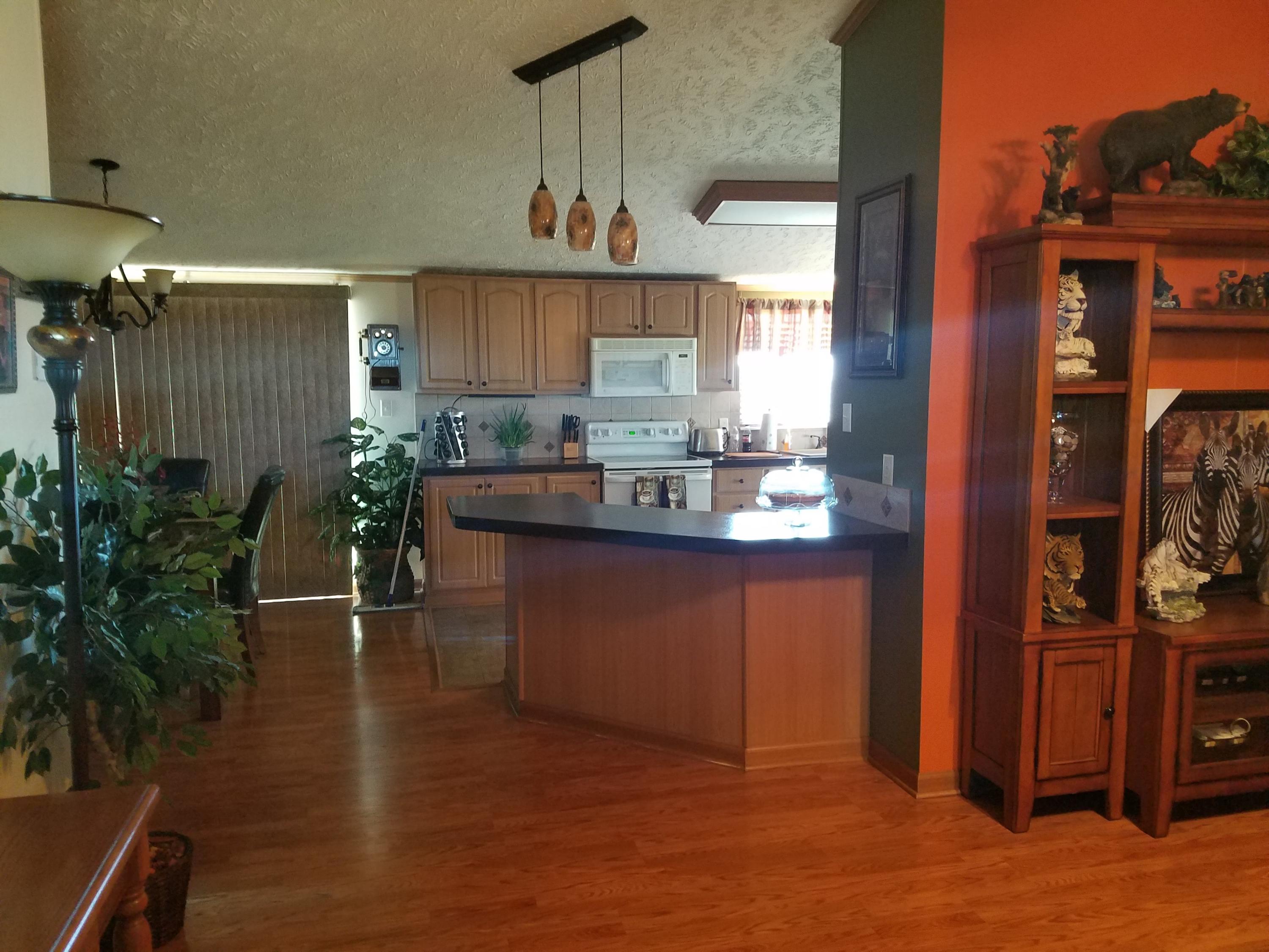 853 Bruner Road Strawberry Plains, TN 37871 - Photo 18 of 36 LR_KIT
