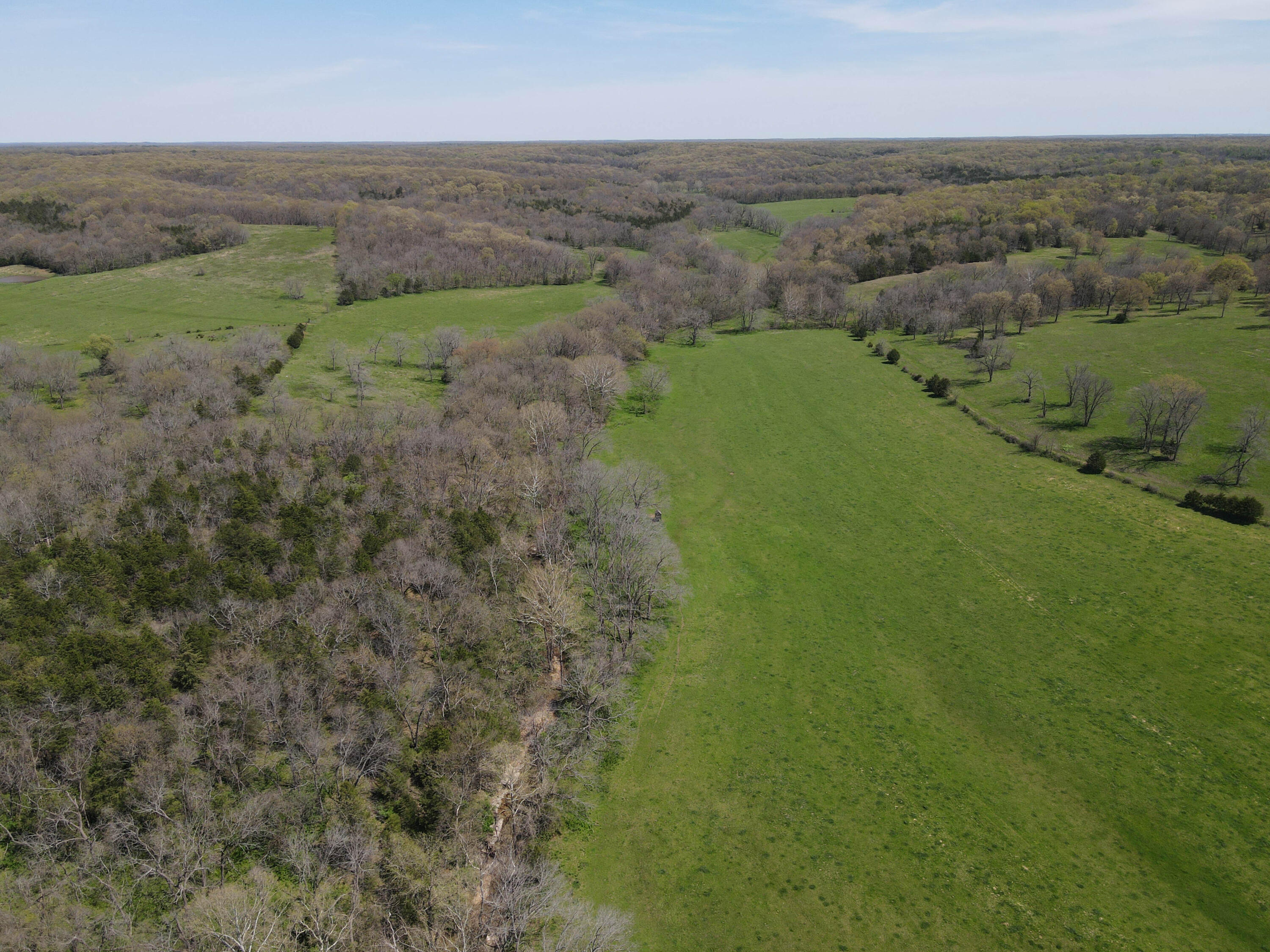 1602 Northeast 1289th Road Osceola, MO 64776 - Photo 25 of 78 DJI_0685