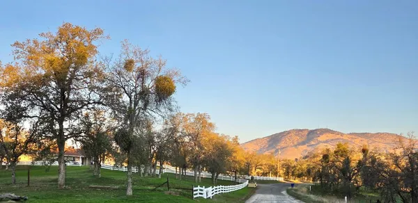 $700,000 | 31602 Tumbleweed Lane, Squaw Valley, CA 93675
