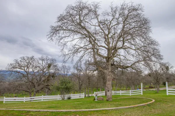 $700,000 | 31602 Tumbleweed Lane, Squaw Valley, CA 93675