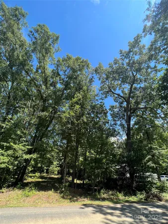 a view of a yard with plants