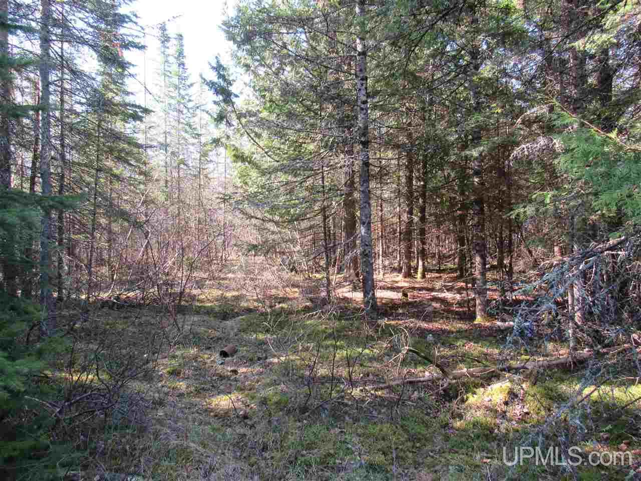 Tbd H Road Bark River, MI 49807 - Photo 6 of 24