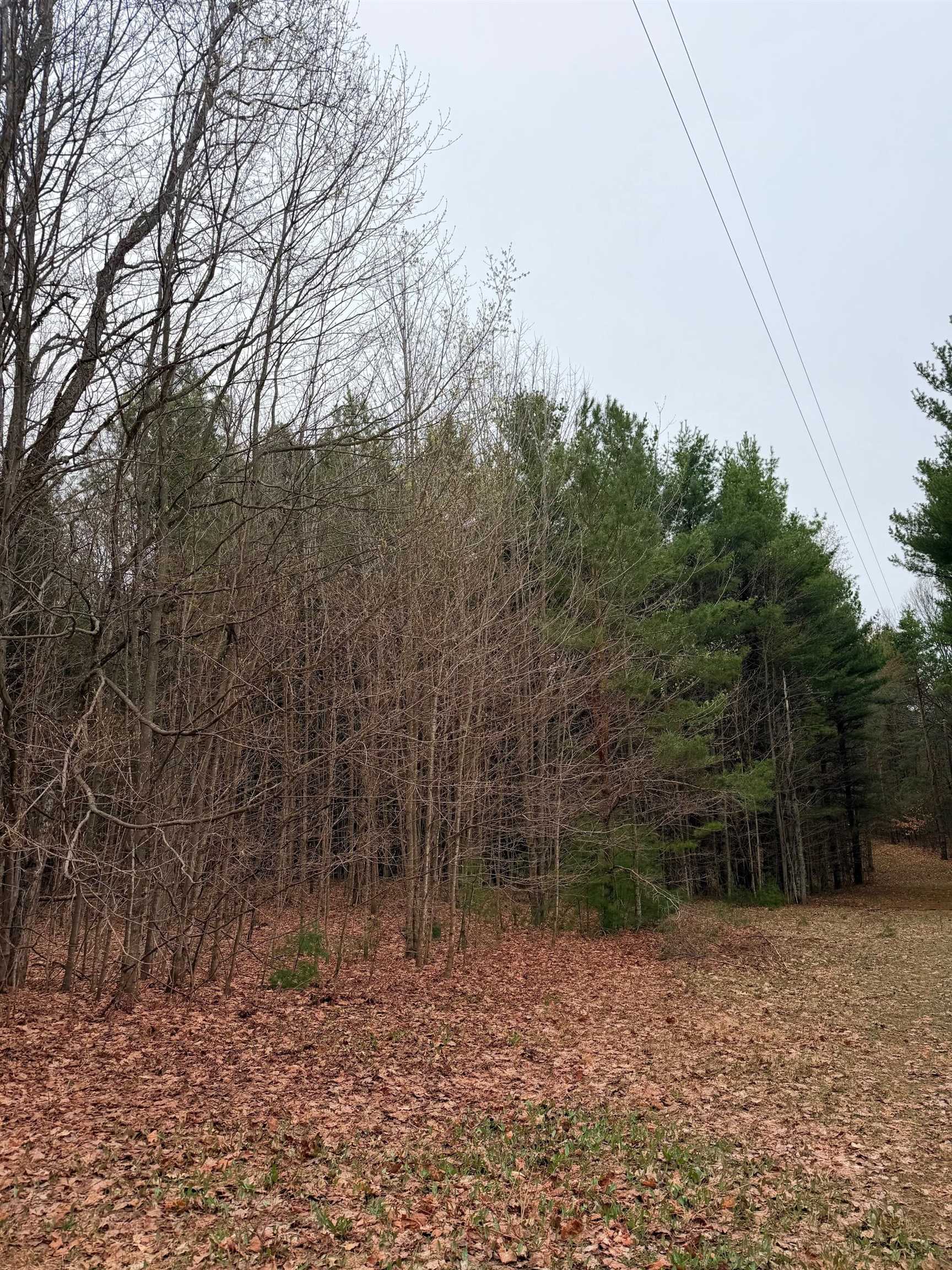 2 Woodland Trail, Unit PARCEL 2 Cedar, MI 49621 - Photo 14 of 19