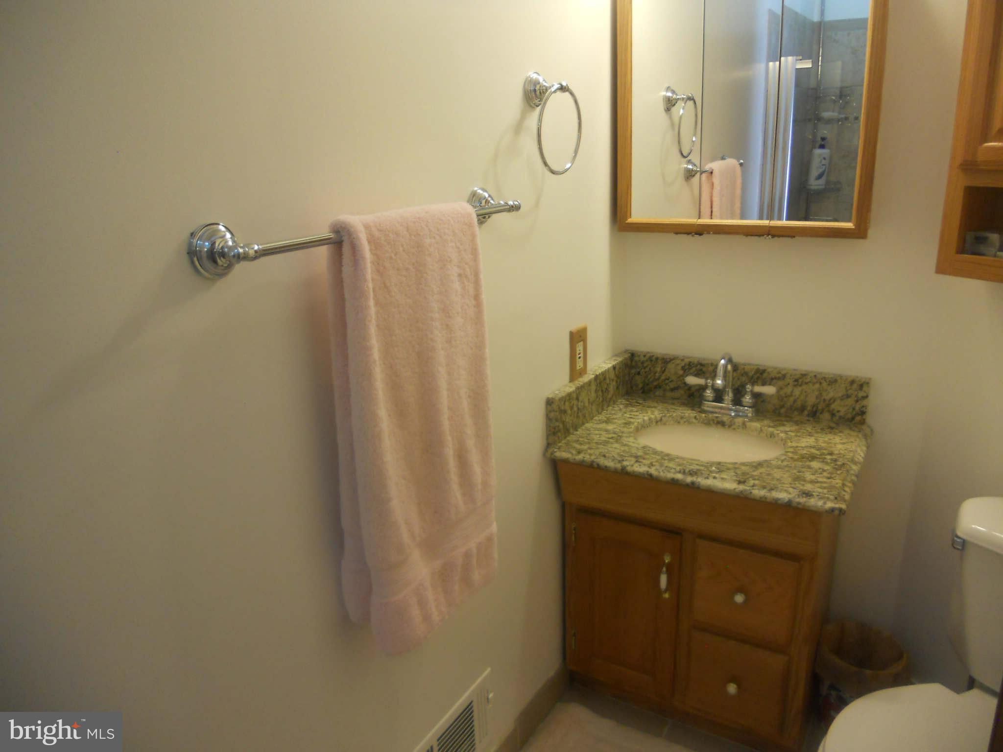10640 Tippett Road Clinton, MD 20735 - Photo 12 of 29 Bath (Master)