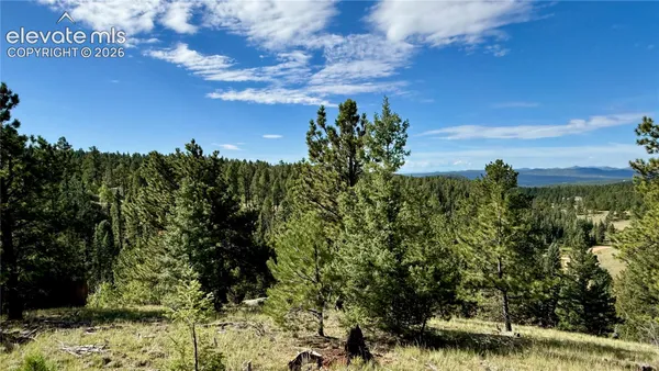 $70,000 | 196 Beaver Creek Circle, Florissant, CO 80816