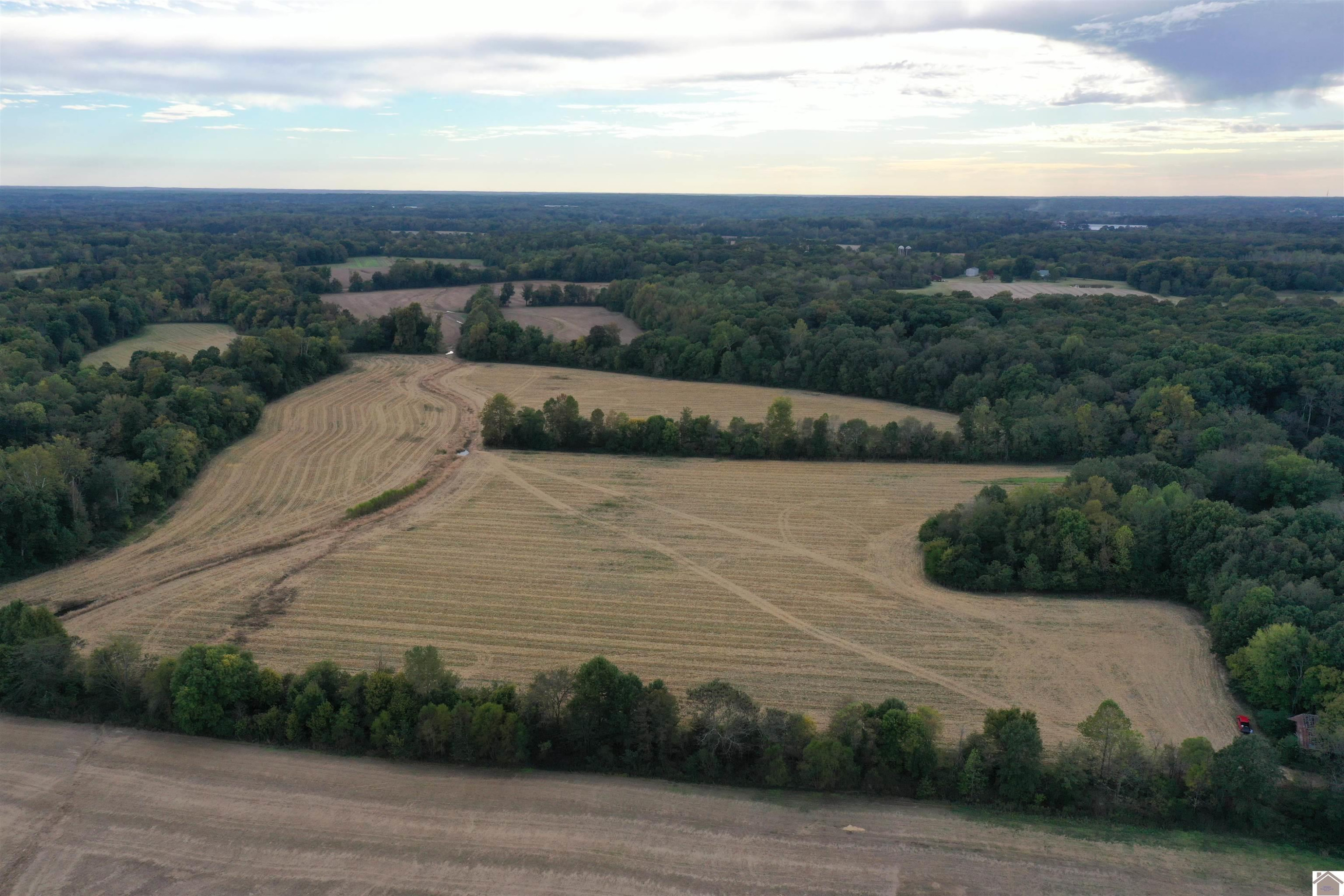 0 Barnett Road Farmington, KY 42040 - Photo 7 of 10 Photo 7
