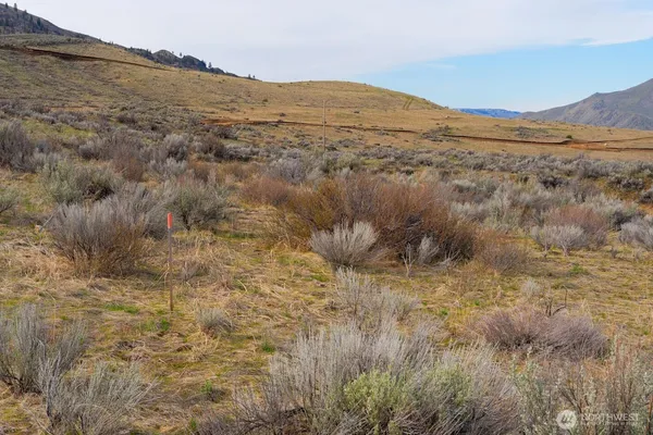 $139,000 | 0 Parcel A Mcneil Canyon Road, Orondo, WA 98843