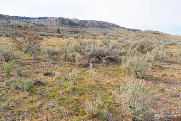 $139,000 | 0 Parcel A Mcneil Canyon Road, Orondo, WA 98843