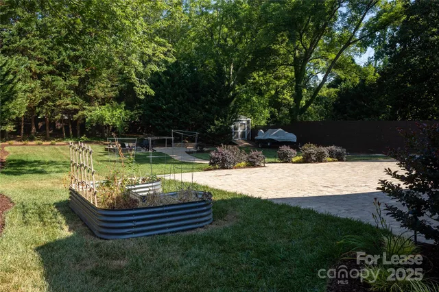 a view of a park with large trees