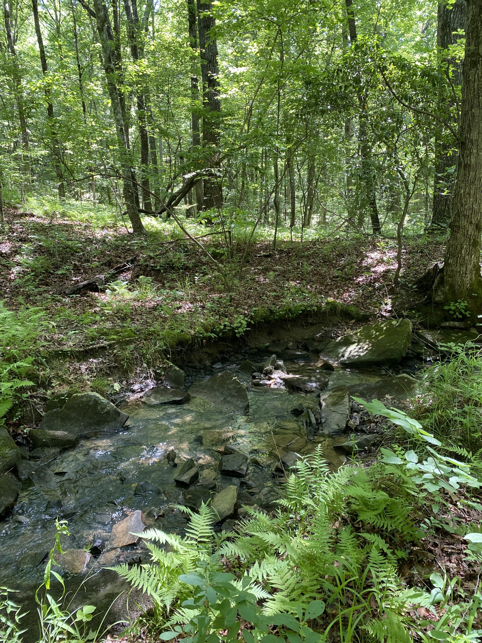 118 Cherokee Road Spencer, TN 38585 - Photo 71 of 85