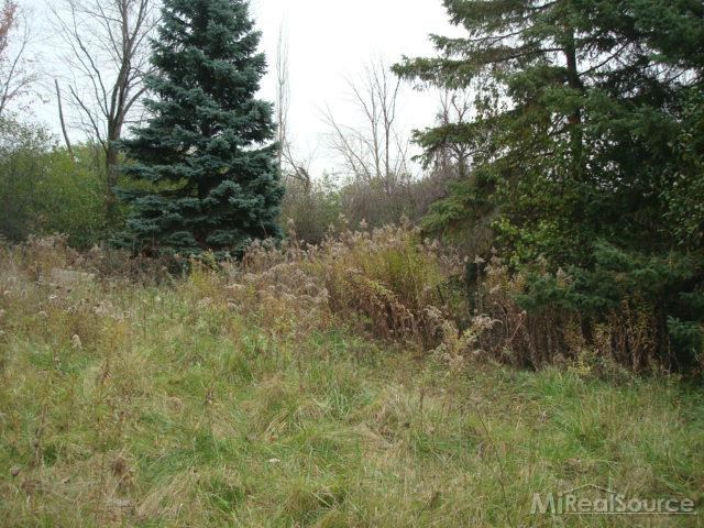 335 Lowery Road Troy, MI 48084 - Photo 7 of 9