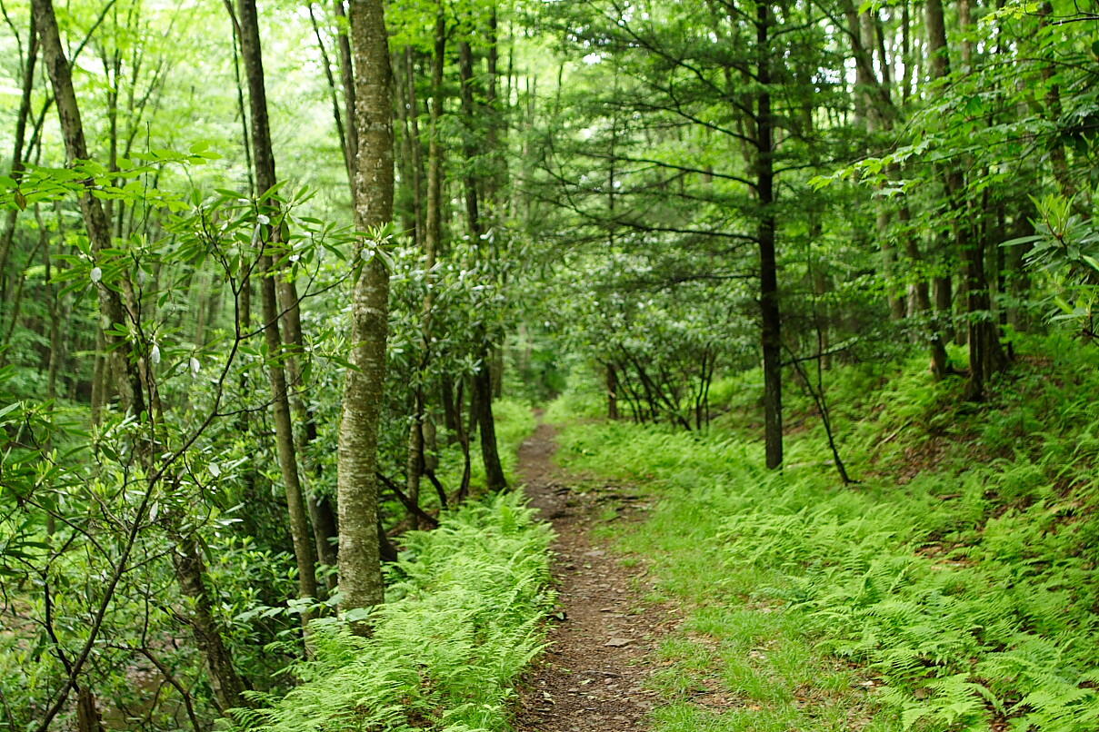 Highland Pines Road Presque Isle, MI 49777 - Photo 42 of 42 Gallery Image 42