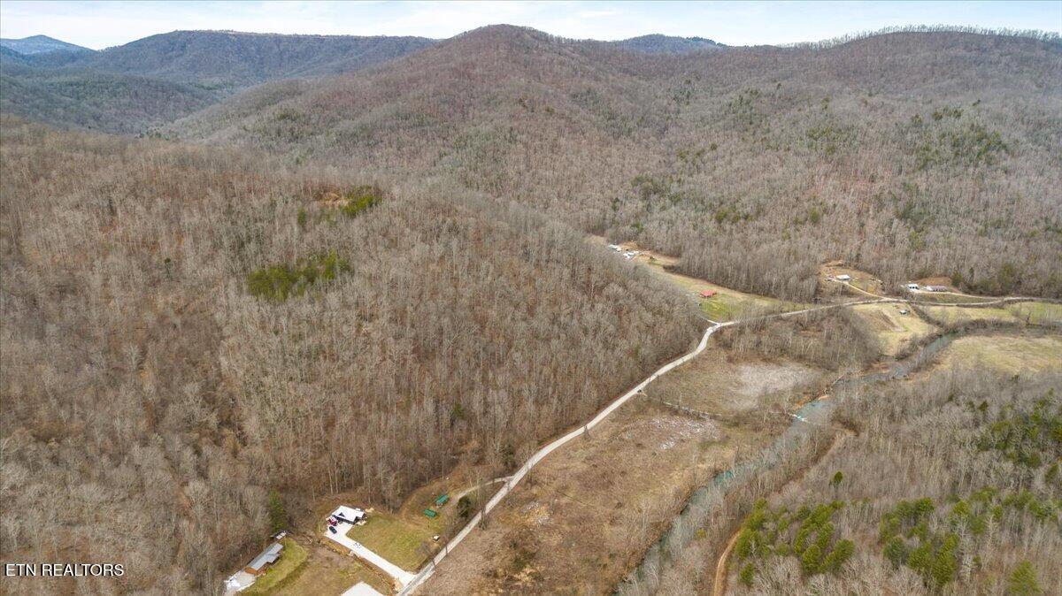 16-acres Smokey Creek Road Huntsville, TN 37756 - Photo 12 of 18 07-Smokey Creek