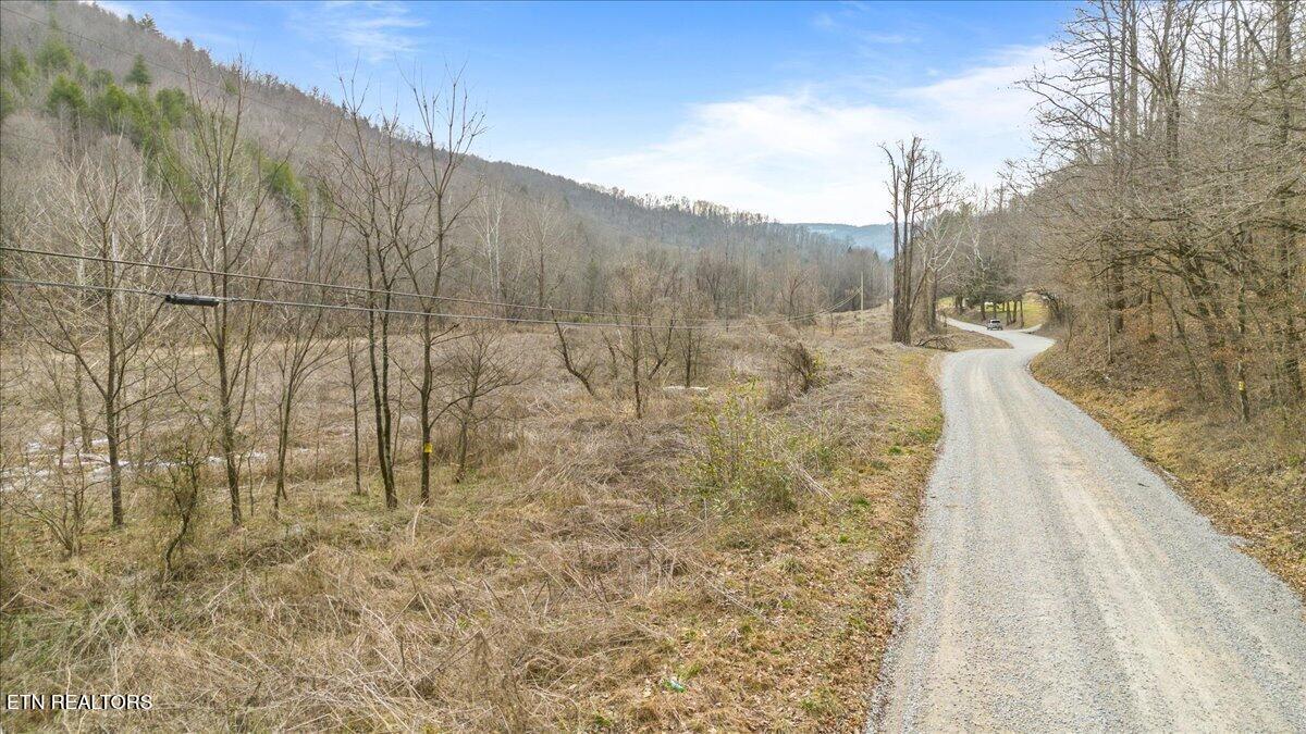16-acres Smokey Creek Road Huntsville, TN 37756 - Photo 2 of 18 17-Smokey Creek