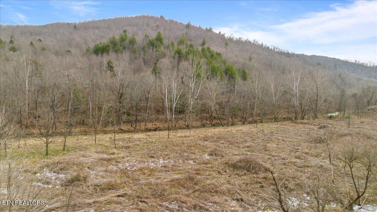 16-acres Smokey Creek Road Huntsville, TN 37756 - Photo 3 of 18 16-Smokey Creek