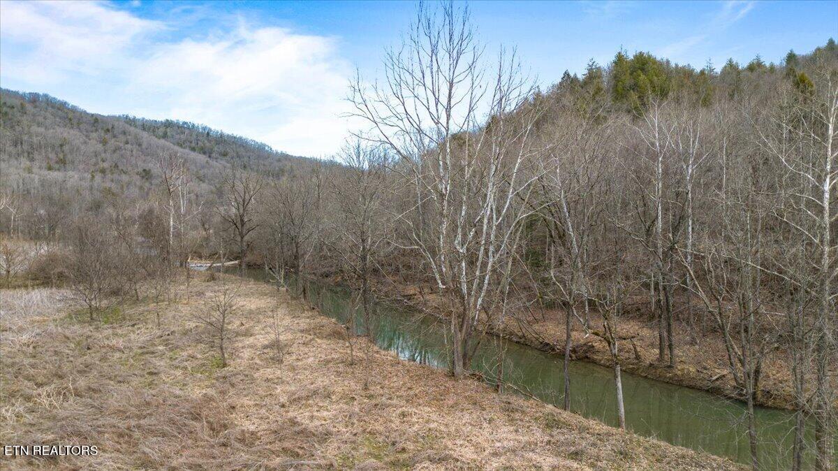 16-acres Smokey Creek Road Huntsville, TN 37756 - Photo 5 of 18 14-Smokey Creek