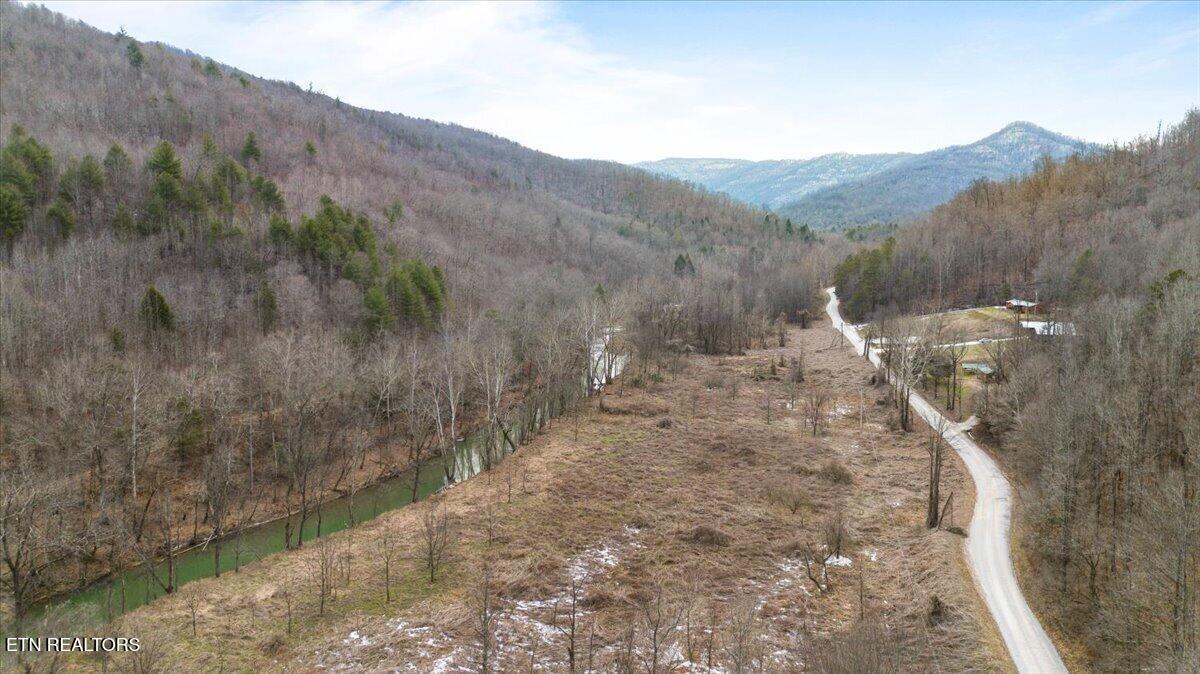 16-acres Smokey Creek Road Huntsville, TN 37756 - Photo 7 of 18 12-Smokey Creek