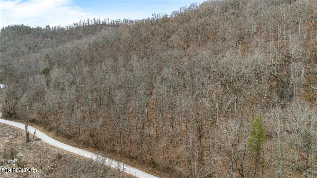 16-acres Smokey Creek Road Huntsville, TN 37756 - Photo 8 of 18 11-Smokey Creek