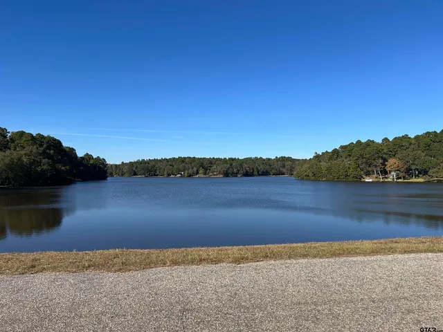 $270,000 | 121 County Road 325 West, Frankston, TX 75763