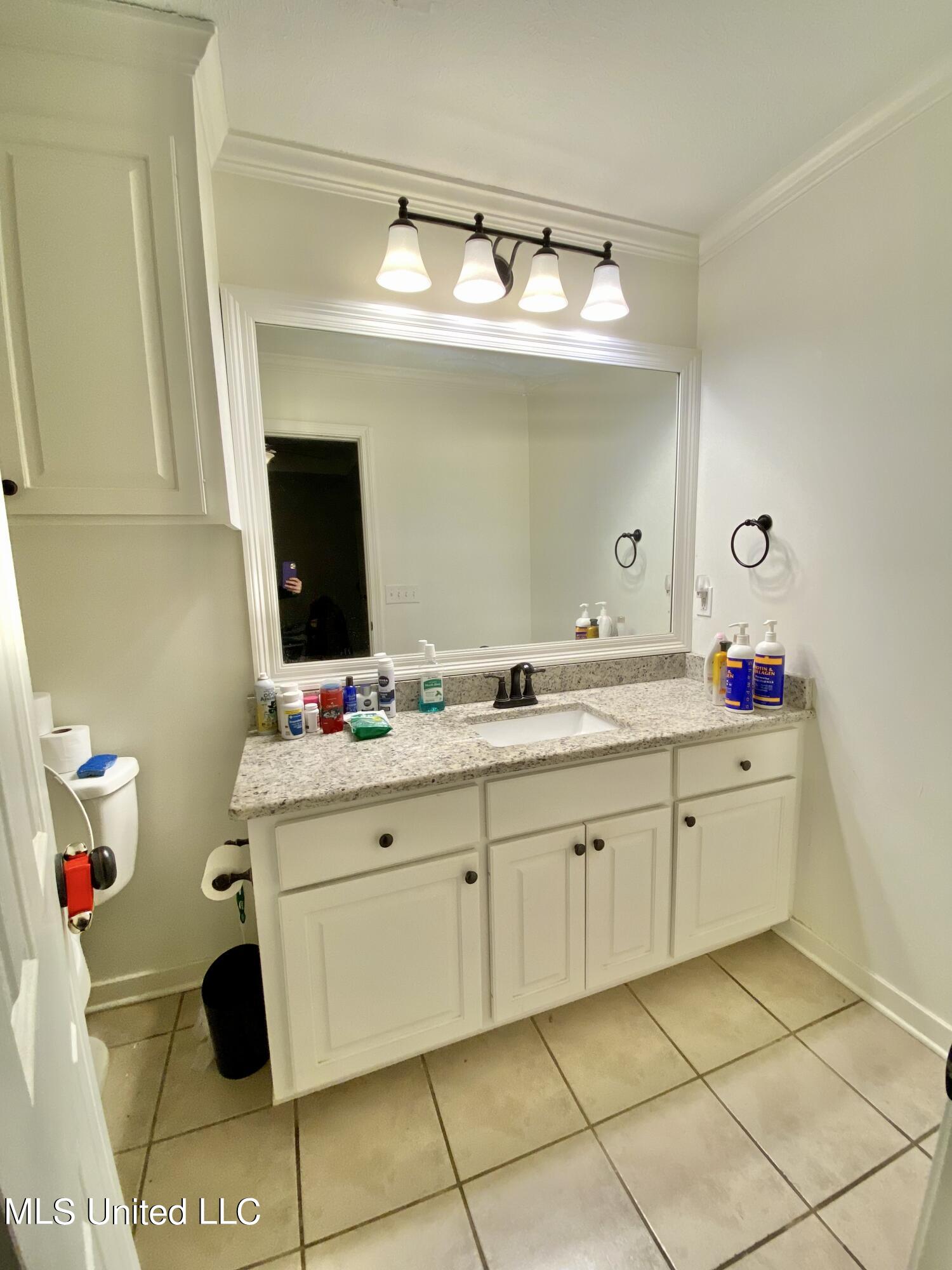 209 Cherrybark Lane Brandon, MS 39047 - Photo 16 of 17 IMG_1308