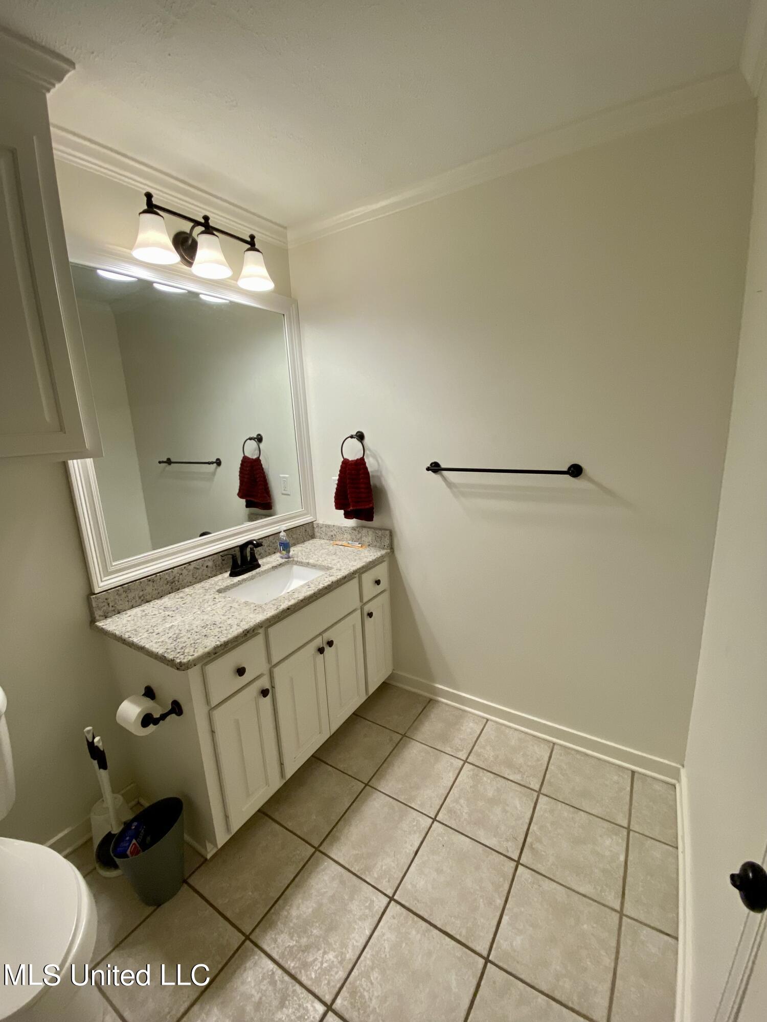 209 Cherrybark Lane Brandon, MS 39047 - Photo 10 of 17 IMG_1296