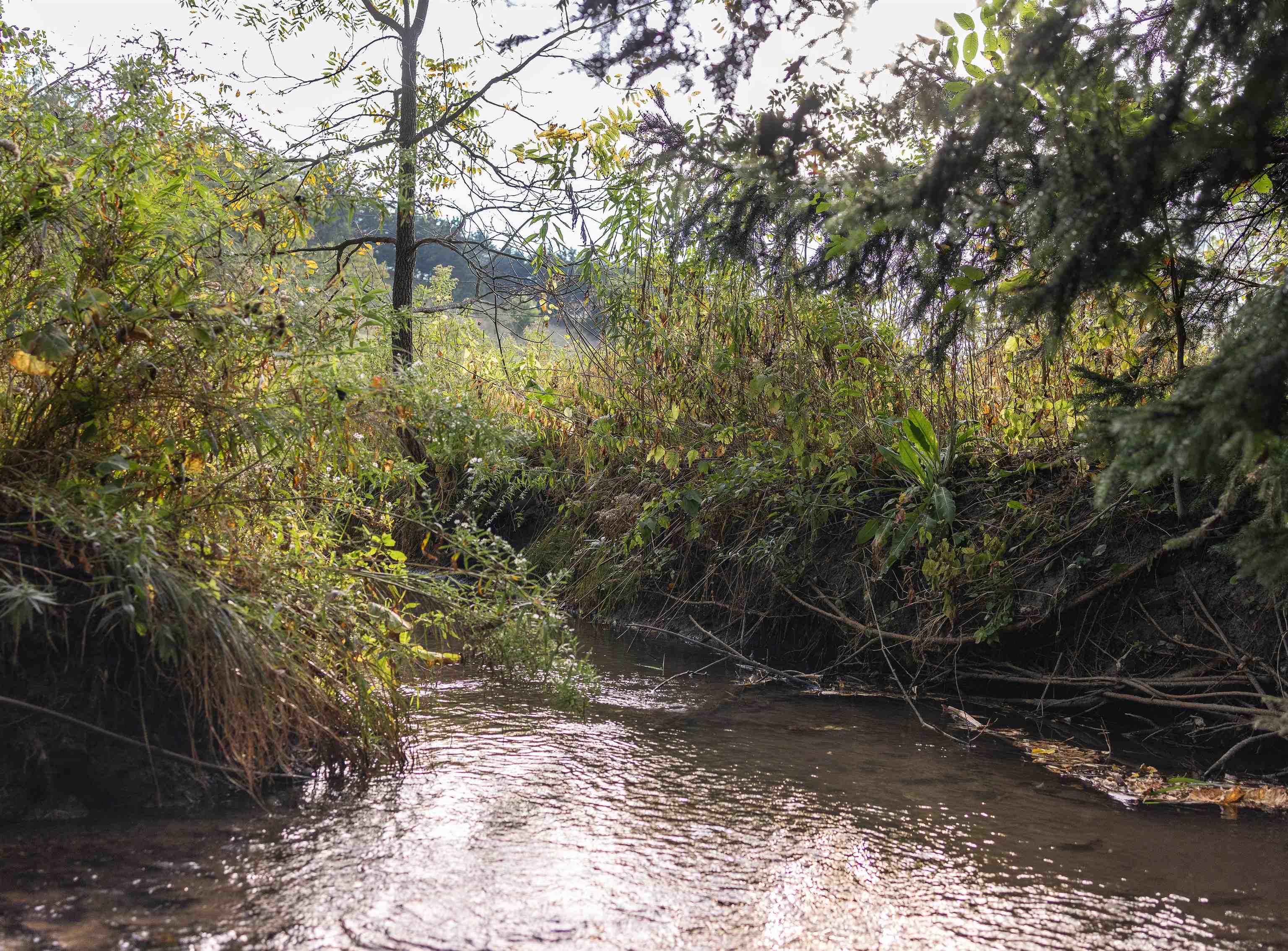 18075 O Neil Road Mineral Point, WI 53565 - Photo 8 of 61