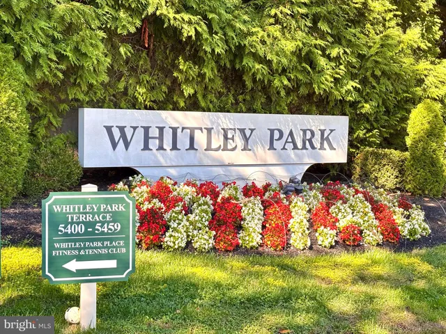 a view of outdoor space with garden and stairs